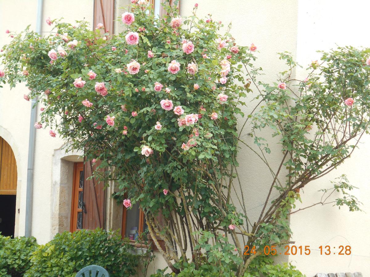 Bienvenue A La Campagne Bed & Breakfast Villers-sur-Port Bagian luar foto